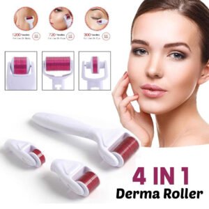 Derma Roller 4 in 1