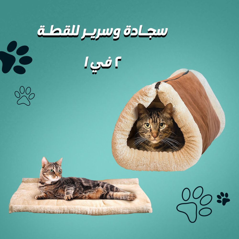 سجادة وسرير للقطه 2 في 1 (جملة)
