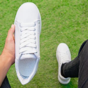 كوتشي اليكسندر