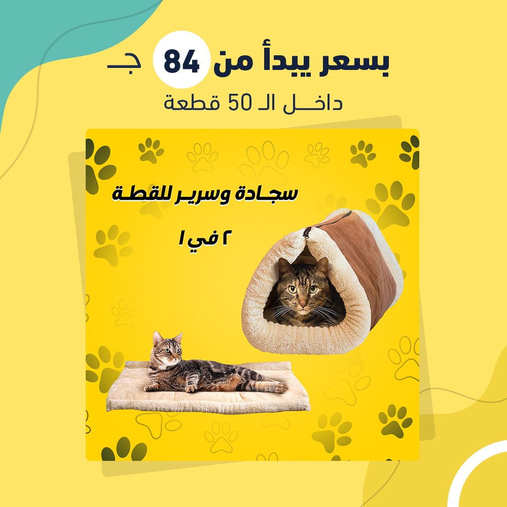 سجادة وسرير للقطه 2 في 1 (جملة) - Image 3